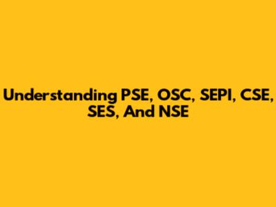 Understanding PSE, OSC, SEPI, CSE, SES, And NSE