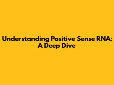Understanding Positive Sense RNA: A Deep Dive