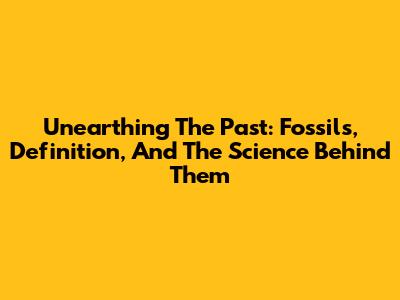 Unearthing The Past: Fossils, Definition, And The Science Behind Them