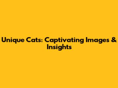 Unique Cats: Captivating Images & Insights