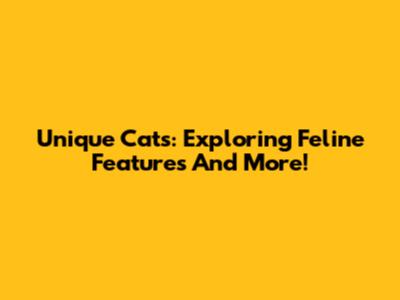 Unique Cats: Exploring Feline Features And More!