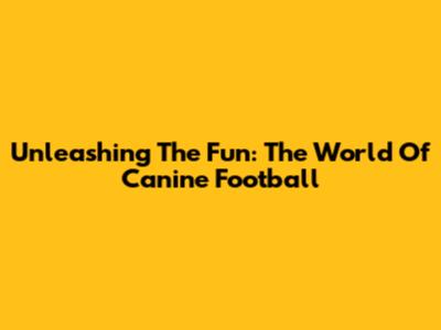 Unleashing The Fun: The World Of Canine Football