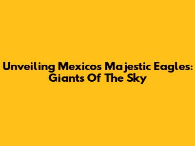 Unveiling Mexico's Majestic Eagles: Giants Of The Sky