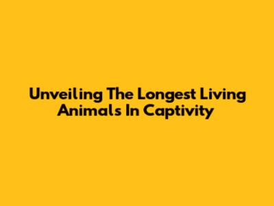 Unveiling The Longest Living Animals In Captivity