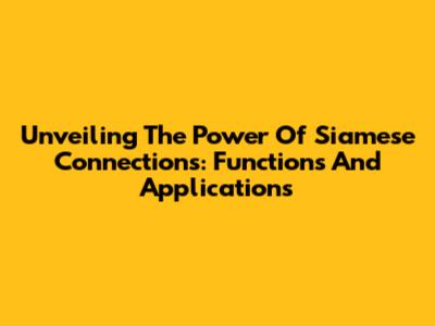 Unveiling The Power Of Siamese Connections: Functions And Applications