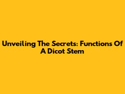 Unveiling The Secrets: Functions Of A Dicot Stem