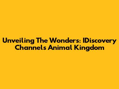 Unveiling The Wonders: IDiscovery Channel's Animal Kingdom