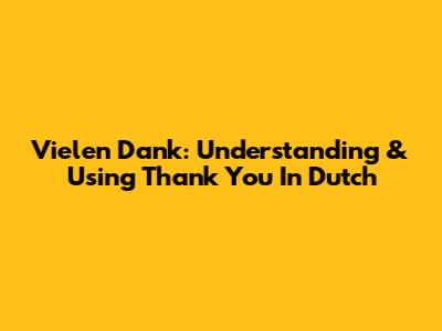 Vielen Dank: Understanding & Using 'Thank You' In Dutch