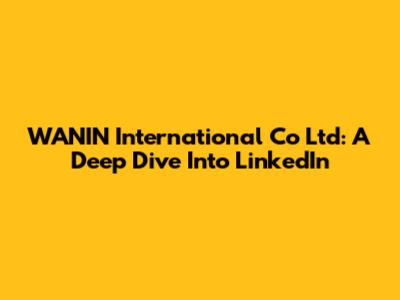 WANIN International Co Ltd: A Deep Dive Into LinkedIn