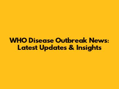 WHO Disease Outbreak News: Latest Updates & Insights