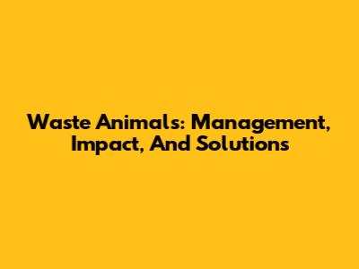 Waste Animals: Management, Impact, And Solutions