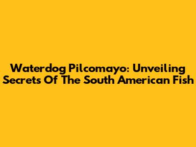 Waterdog Pilcomayo: Unveiling Secrets Of The South American Fish
