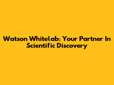 Watson Whitelab: Your Partner In Scientific Discovery