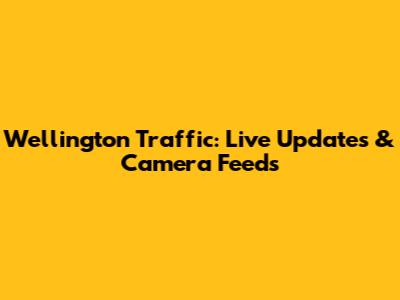Wellington Traffic: Live Updates & Camera Feeds