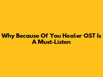 Why 'Because Of You' Healer OST Is A Must-Listen