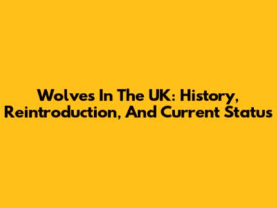 Wolves In The UK: History, Reintroduction, And Current Status