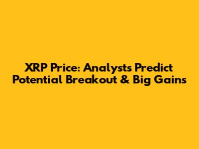 XRP Price: Analysts Predict Potential Breakout & Big Gains