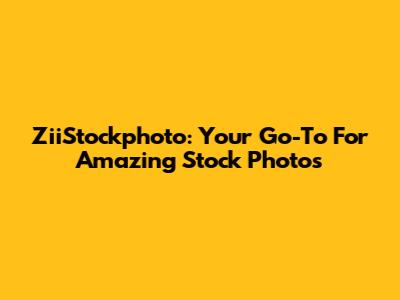 ZiiStockphoto: Your Go-To For Amazing Stock Photos